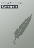 Куст сирени