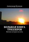 Большая книга триллеров. Жуткие истории на ночь