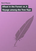 Afloat in the Forest: or, A Voyage among the Tree-Tops