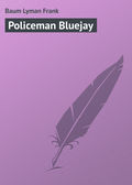 Policeman Bluejay