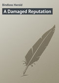 A Damaged Reputation