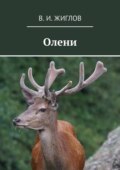 Олени