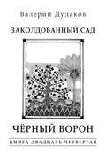 Заколдованный сад. Черный ворон. Книга двадцать четвертая