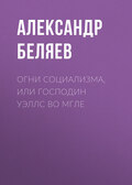 Огни социализма, или Господин Уэллс во мгле