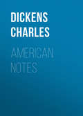 American Notes