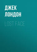 Lost Face