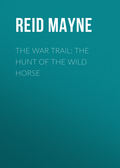 The War Trail: The Hunt of the Wild Horse