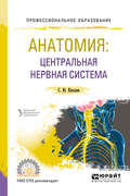 Анатомия: центральная нервная система. Учебное пособие для СПО