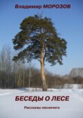 Беседы о лесе. Рассказы лесничего