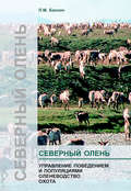 Северный олень. Управление поведением и популяциями. Оленеводство. Охота