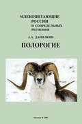 Полорогие (Bovidae)