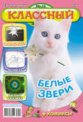 Классный журнал №13/2012