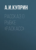 Рассказ о рыбке «раскасс»