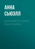 Black Beauty, Young Folks' Edition