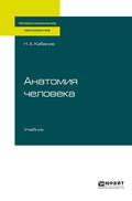 Анатомия человека. Учебник для СПО