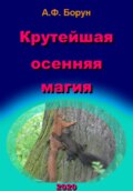 Крутейшая осенняя магия