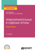 Правоохранительные и судебные органы. Практикум 3-е изд., пер. и доп. Учебное пособие для СПО