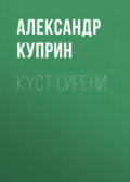 Куст сирени