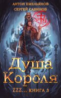 ZZZZZZZ: Душа короля. Книга 3