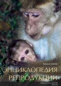 Энциклопедия репродукции (pdf+epub)