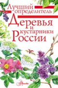 Деревья и кустарники России. Определитель