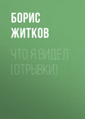 Что я видел (отрывки)