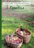 Грибы в Вологодской области. Том 1. Справочник