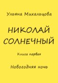 Николай Солнечный. Книга первая. Новогодняя ночь