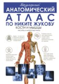 Популярный анатомический атлас по Никите Жукову. Кости и мышцы. Инсайды и интересные факты