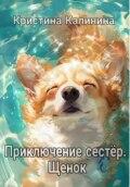 Приключение сестер. Щенок