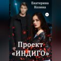 Проект «Индиго»