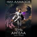 Тень ангела. Книга 1