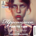 Принцесса где-то там. Книга 2