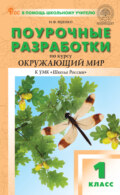 Поурочные разработки по курсу «Окружающий мир». 1 класс (к УМК А. А. Плешакова и др. («Школа России»), выпуски с 2023 г. по наст. время)