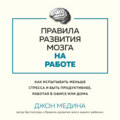 Правила развития мозга на работе. Как испытывать меньше стресса и быть продуктивнее, работая в офисе или дома