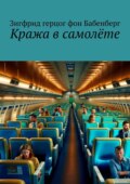 Кража в самолёте