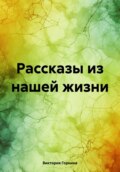 Рассказы из нашей жизни