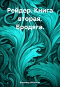 Рейдер. Книга вторая. Бродяга.