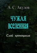 Чужая вселенная. Слой хроноцикла