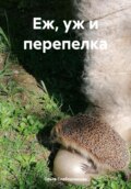 Еж, уж и перепелка