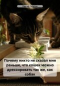 Почему никто не сказал мне раньше, что кошек можно дрессировать так же, как собак