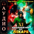 Идеальный мир для Лекаря 11