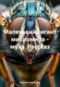 Маленький гигант микромира – муха. Рассказ