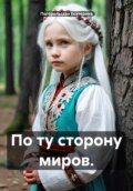 По ту сторону миров