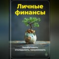 Личные финансы: Зарабатывать, откладывать, приумножать