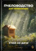 Пчеловодство для начинающих: Улей на даче