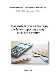 Производственная практика по бухгалтерскому учету, анализу и аудиту