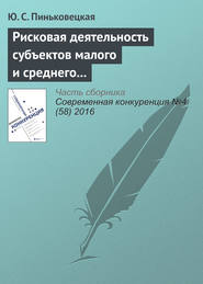 Рисковая деятельность субъектов малого и среднего предпринимательства