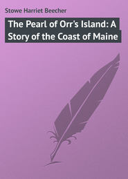 The Pearl of Orr's Island: A Story of the Coast of Maine