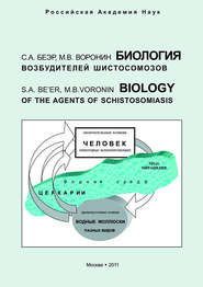 Биология возбудителей шистосомозов
